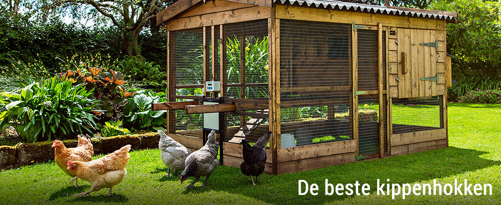 filosoof lezer dealer De beste kippenhokken - ChickenGuard